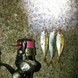 久しぶりのナイトゲーム